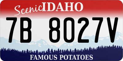 ID license plate 7B8027V