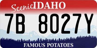 ID license plate 7B8027Y