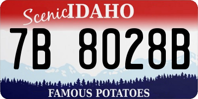ID license plate 7B8028B