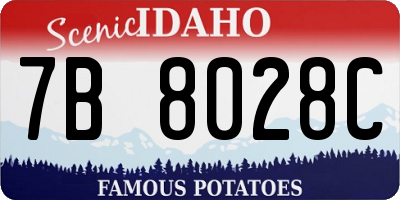 ID license plate 7B8028C