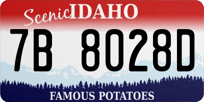 ID license plate 7B8028D