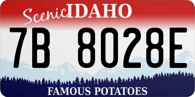 ID license plate 7B8028E