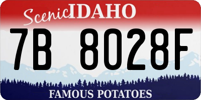 ID license plate 7B8028F