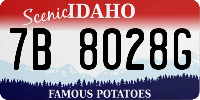 ID license plate 7B8028G