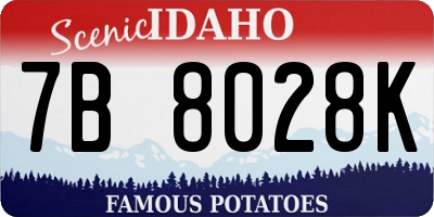 ID license plate 7B8028K