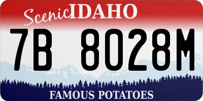 ID license plate 7B8028M
