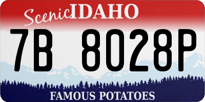 ID license plate 7B8028P