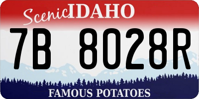 ID license plate 7B8028R