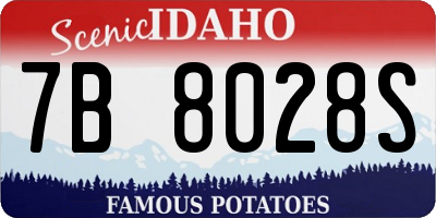 ID license plate 7B8028S