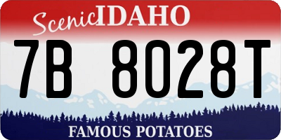 ID license plate 7B8028T