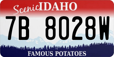 ID license plate 7B8028W