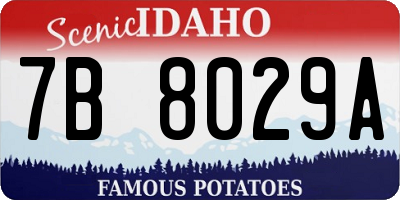 ID license plate 7B8029A