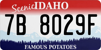 ID license plate 7B8029F