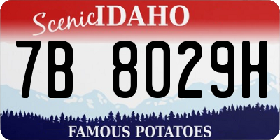 ID license plate 7B8029H