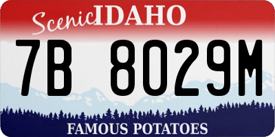 ID license plate 7B8029M