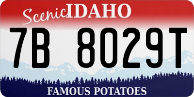 ID license plate 7B8029T