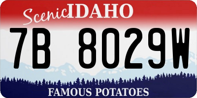 ID license plate 7B8029W