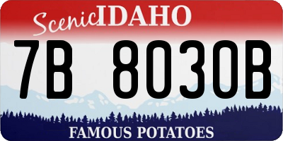 ID license plate 7B8030B