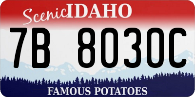 ID license plate 7B8030C