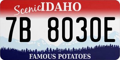 ID license plate 7B8030E