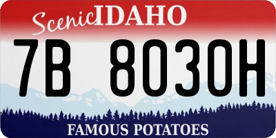 ID license plate 7B8030H