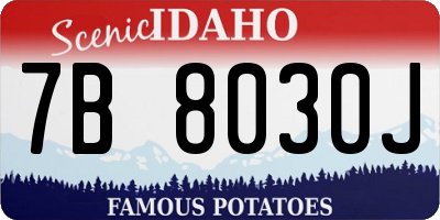 ID license plate 7B8030J