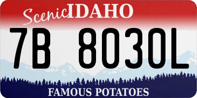 ID license plate 7B8030L