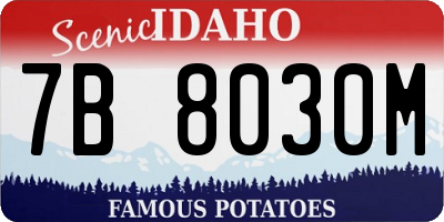 ID license plate 7B8030M