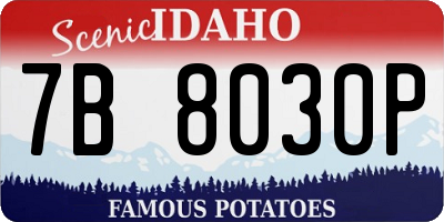 ID license plate 7B8030P
