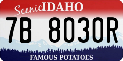 ID license plate 7B8030R