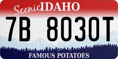 ID license plate 7B8030T