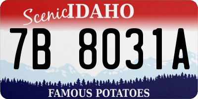 ID license plate 7B8031A