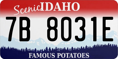 ID license plate 7B8031E