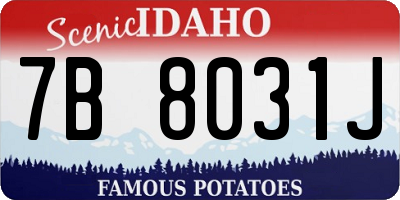 ID license plate 7B8031J