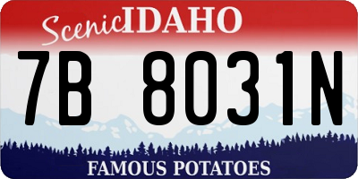 ID license plate 7B8031N