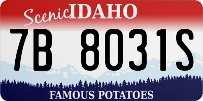 ID license plate 7B8031S