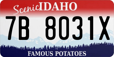 ID license plate 7B8031X
