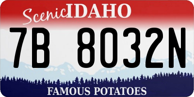 ID license plate 7B8032N