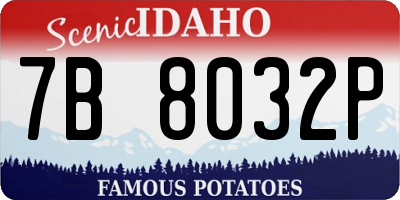 ID license plate 7B8032P