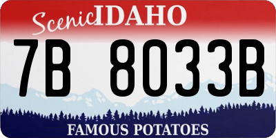 ID license plate 7B8033B