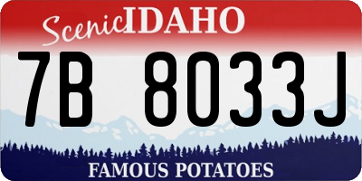 ID license plate 7B8033J