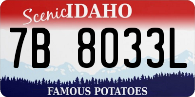 ID license plate 7B8033L