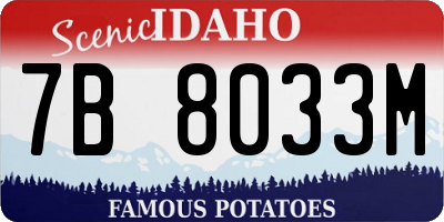 ID license plate 7B8033M