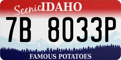 ID license plate 7B8033P