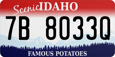 ID license plate 7B8033Q