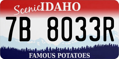 ID license plate 7B8033R