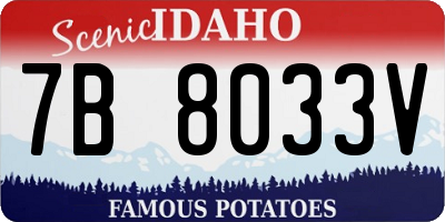 ID license plate 7B8033V