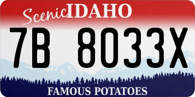 ID license plate 7B8033X