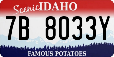 ID license plate 7B8033Y