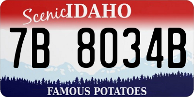 ID license plate 7B8034B